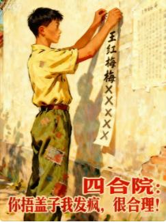 四合院你捂盖子我发疯很合理